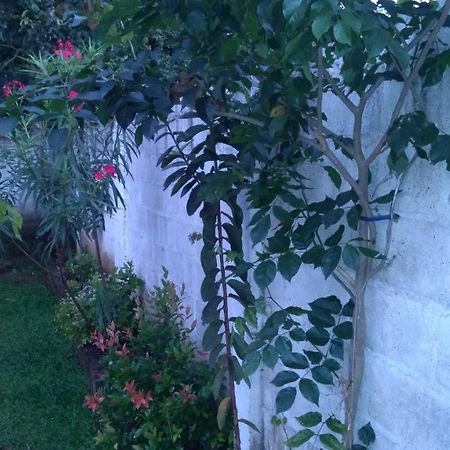 Umaya Holiday Home Anuradhapura Exteriör bild